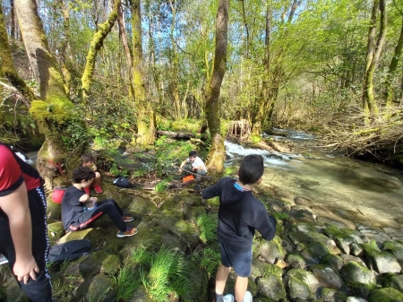 Alumnos de Gondomar investigan a súa fauna e a súa flora