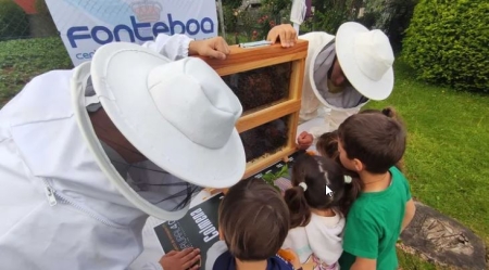 Las abejas, objeto de estudio constante en la EFA Fonteboa, de Coristanco