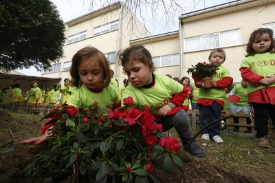 Voz Natura celebrou o Día da Árbore no CEIP Gregorio Sanz, de Ribadeo