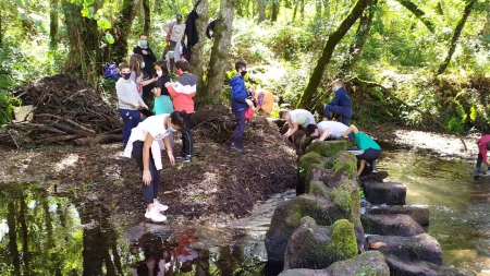 Premios Voz Natura 2019/2020